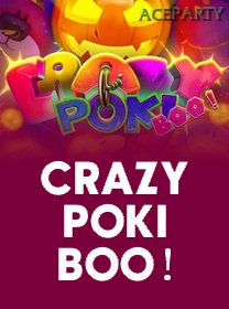 Crazy Poki Boo game cover