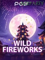 Wild Fireworks game cover